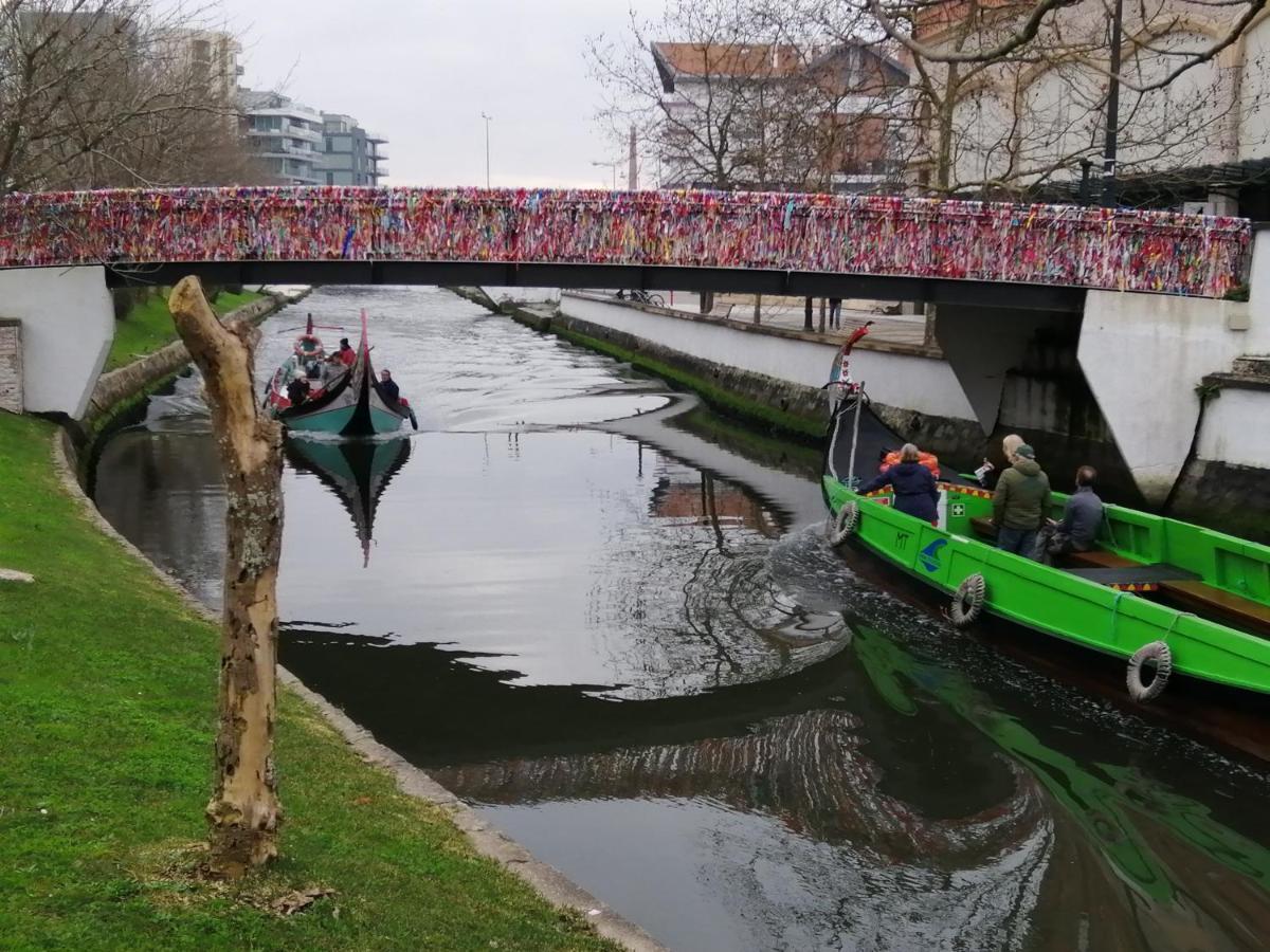 Terreno Das Mimosas Lägenhet Aveiro Exteriör bild