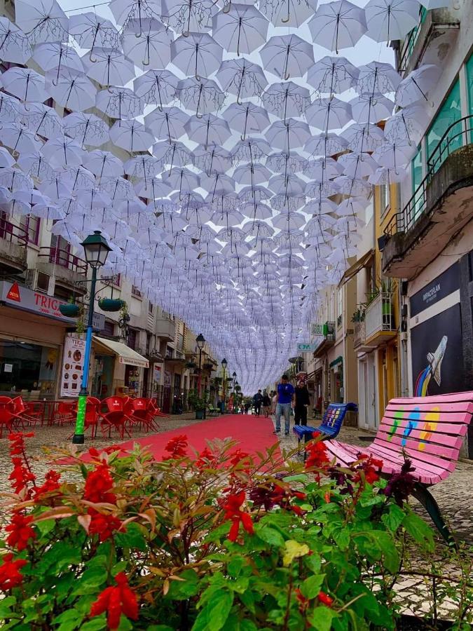 Terreno Das Mimosas Lägenhet Aveiro Exteriör bild